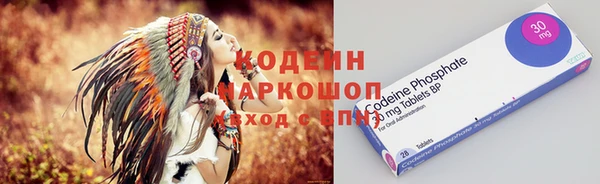 шишки Верхний Тагил