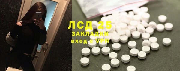 индика Бугульма