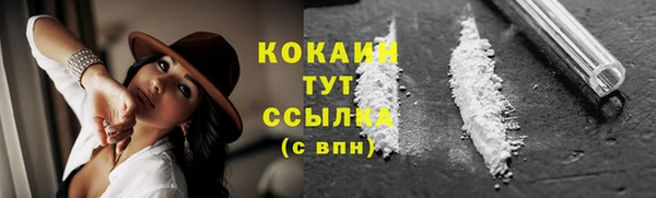 индика Бугульма