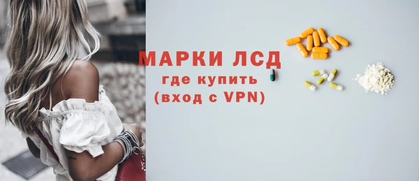индика Бугульма