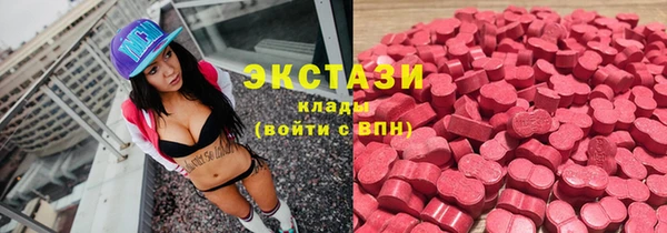 индика Бугульма