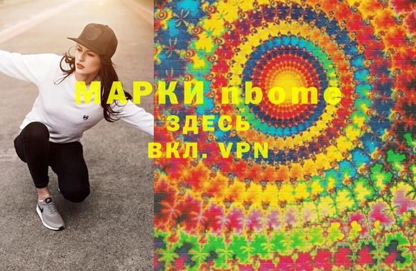 шишки Верхний Тагил