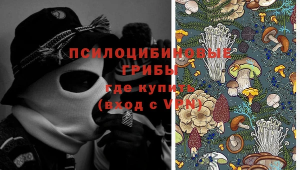 шишки Верхний Тагил